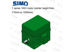 Y系列 10KV(中心高710-1000) 三相異步電動機(jī)