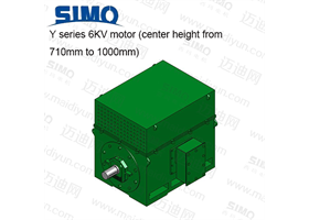 Y系列 6KV(中心高710-1000) 三相異步電動機(jī)