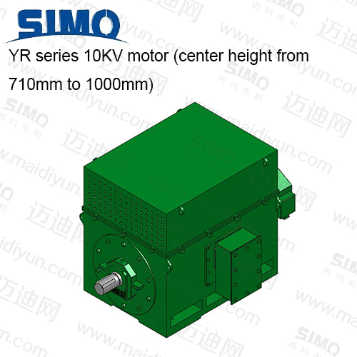 YR系列 10KV(中心高710-1000) 三相異步電動機(jī)